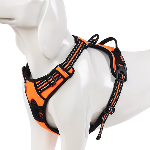 Image of Reflective Padded Nylon Dog Safety Harness