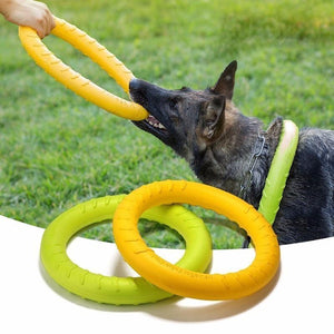Dog Agility Training Rings