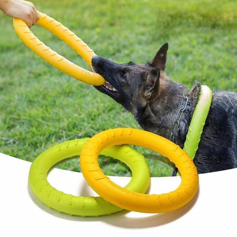 Image of Dog Agility Training Rings