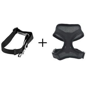 Adjustable Seatbelt & Harness Set For Dogs Of All Sizes