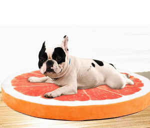 Pet Dog Soft Warm Fruit Bed