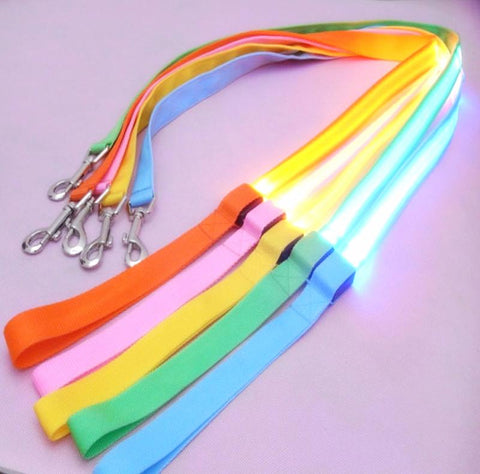 Image of Nylon LED Light Up Dog Leash