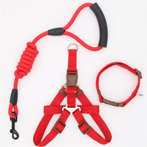 Adjustable Dog Leash, Harness and Collar Set