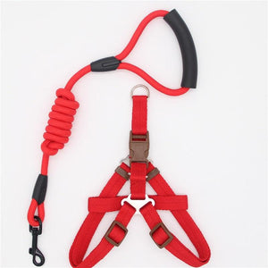 Adjustable Dog Leash, Harness and Collar Set