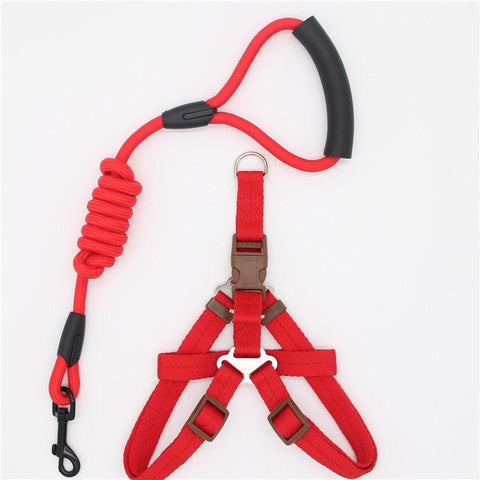 Image of Adjustable Dog Leash, Harness and Collar Set