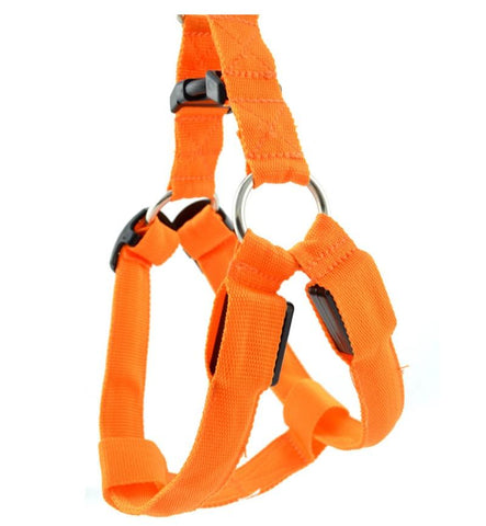 Image of Nylon LED Flashing Dog Harness