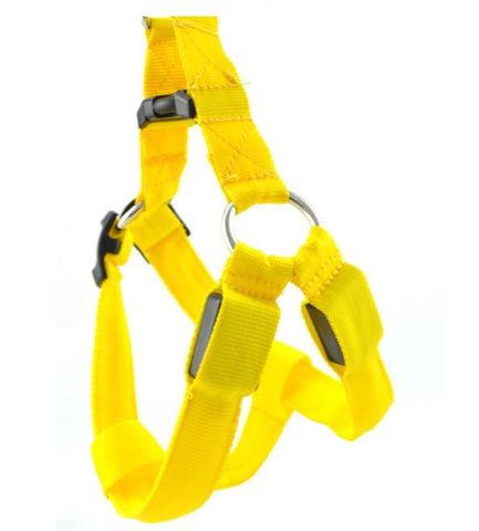 Image of Nylon LED Flashing Dog Harness