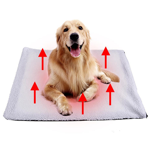 Image of Dog Self Heating Mat For Cold Weather