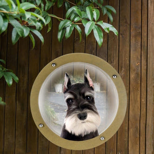 Small Fence Window For Pets