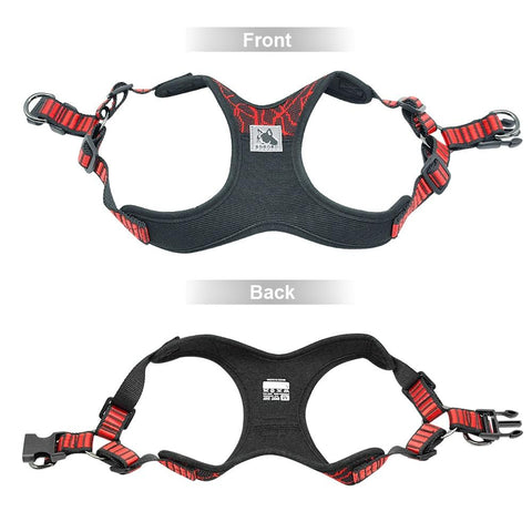 Image of Coast FX Neoprene Padded Safety Dog Harness