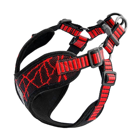 Image of Coast FX Neoprene Padded Safety Dog Harness