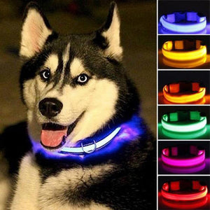 CoastFX Flashing Glow In The Dark Dog Collar