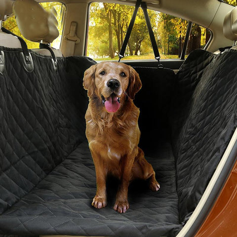 Image of Coast FX Dog Car Seat Cover For Dogs Of All Sizes