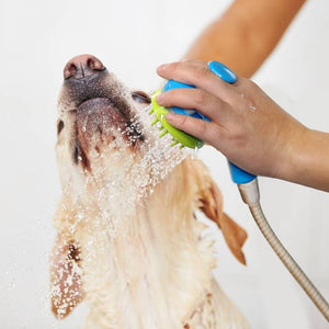 Pet Grooming Massage Shower Sprayer