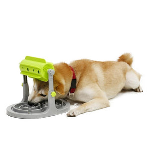 Interactive Slow Feeder For Dogs