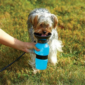 Portable Dog Water Feeder Anti-spill Edition