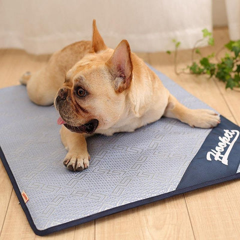 Image of Coast FX Summer Cooling Mat For Dogs