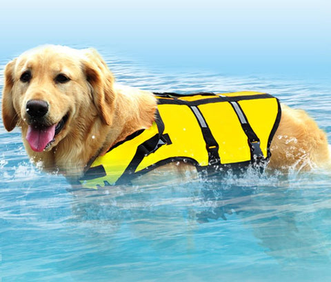 Image of Reflective Dog Safety Life Vest