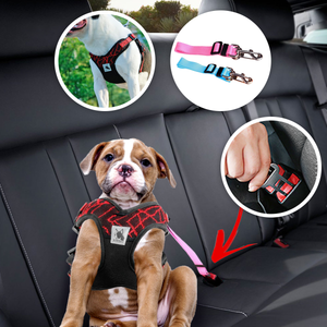 Dog Seatbelt & Safety Harness Combo