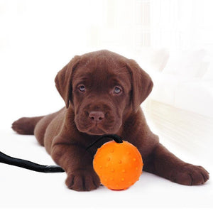 Natural Rubber Dog Toy Ball with Strap
