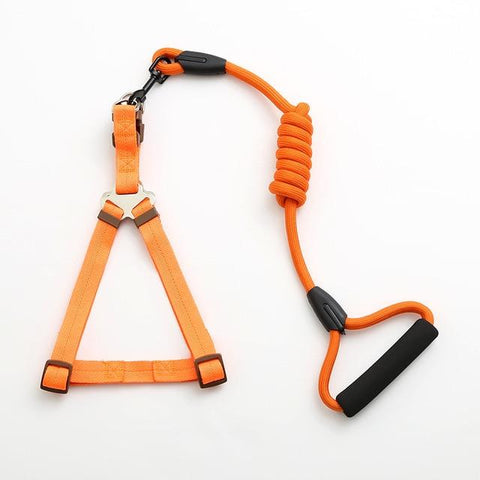 Image of Adjustable Dog Leash, Harness and Collar Set